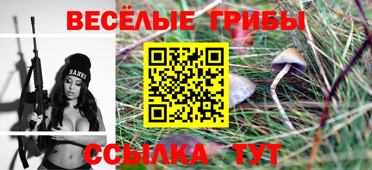Псилоцибиновые грибы прущие грибы Тольятти