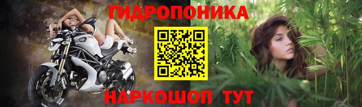 Бошки марихуана MAZAR  Каннабис MAZAR  Вход с VPN  Конопля гибрид  Тольятти  Шишки марихуана OG Kush 